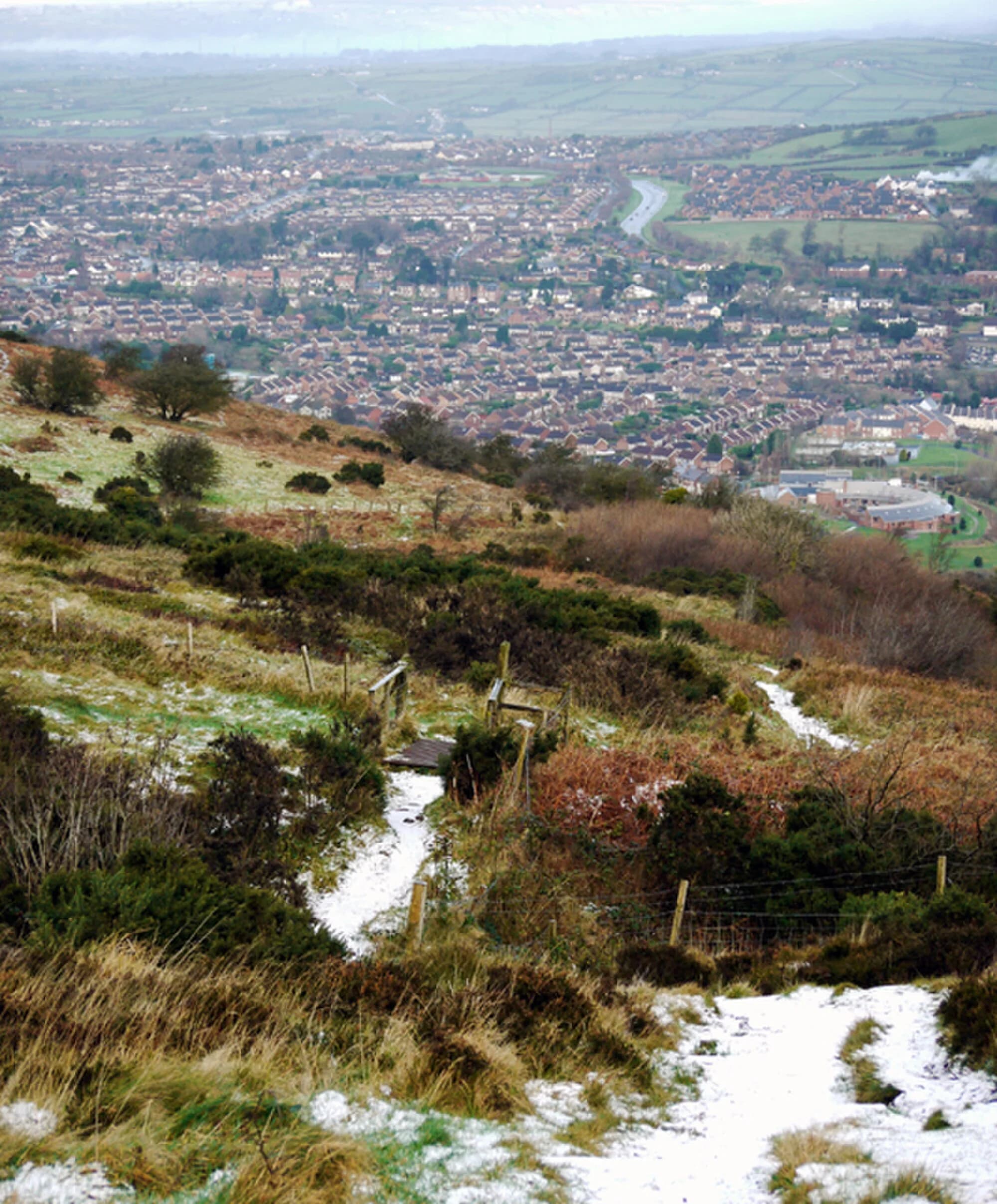 Vets in Newtownabbey